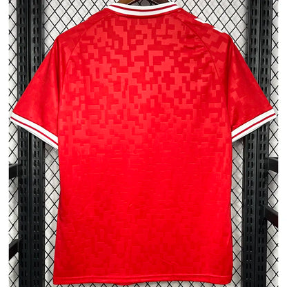 MAILLOT DANEMARK DOMICILE FAN 2024/2025