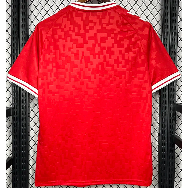 MAILLOT DANEMARK DOMICILE FAN 2024/2025