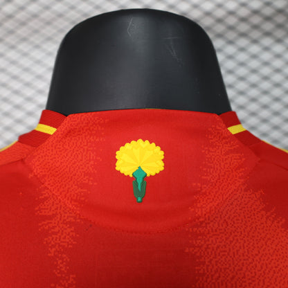 MAILLOT ESPAGNE DOMICILE PLAYER 2024/2025