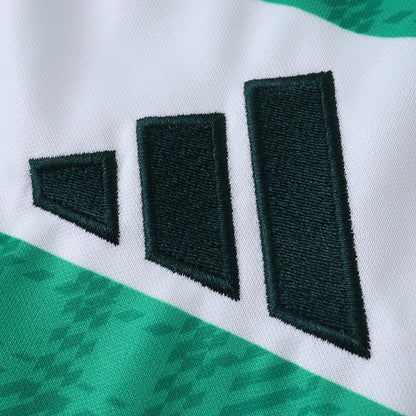MAILLOT CELTIC DOMICILE FAN 2025/2026
