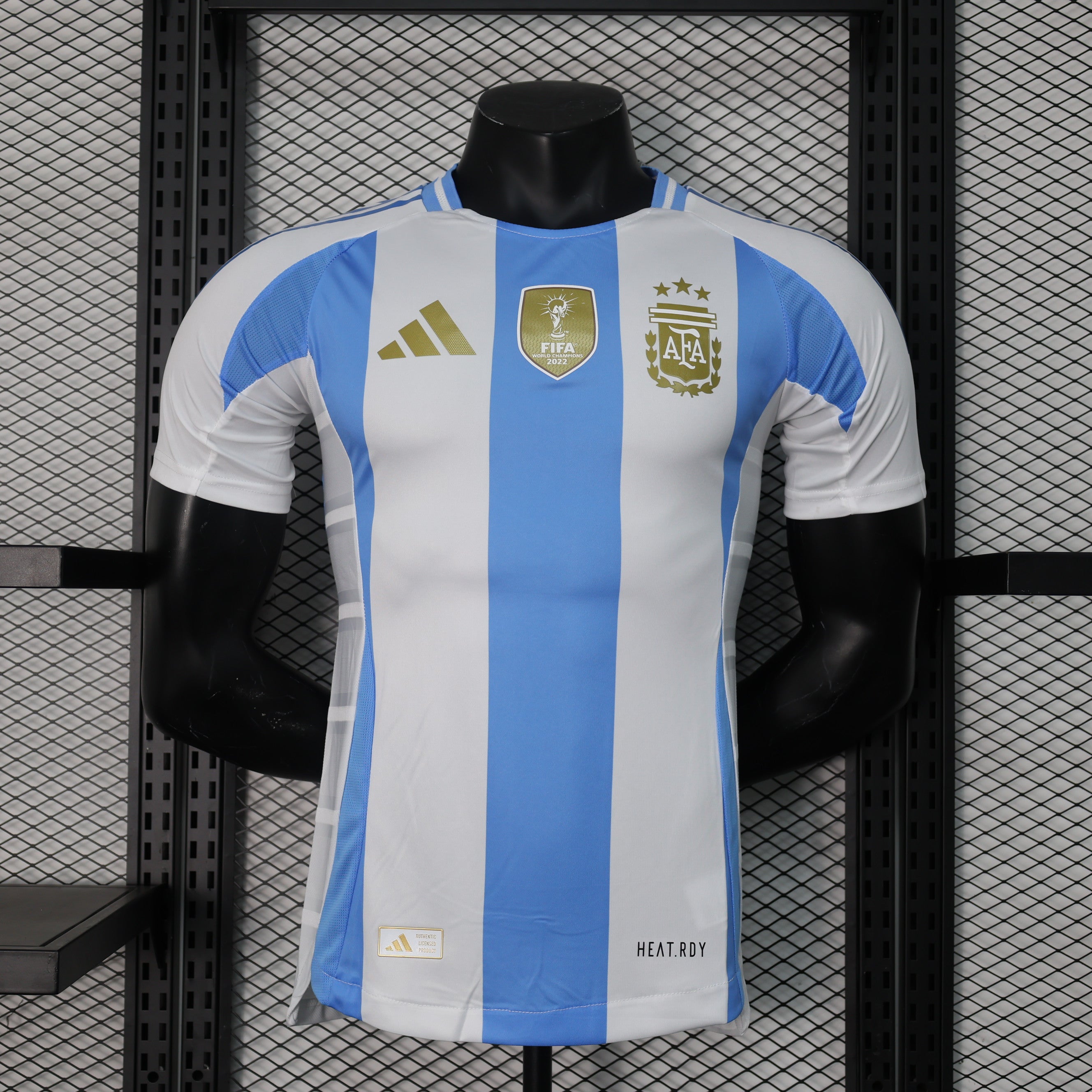 MAILLOT ARGENTINE DOMICILE PLAYER 2024/2025