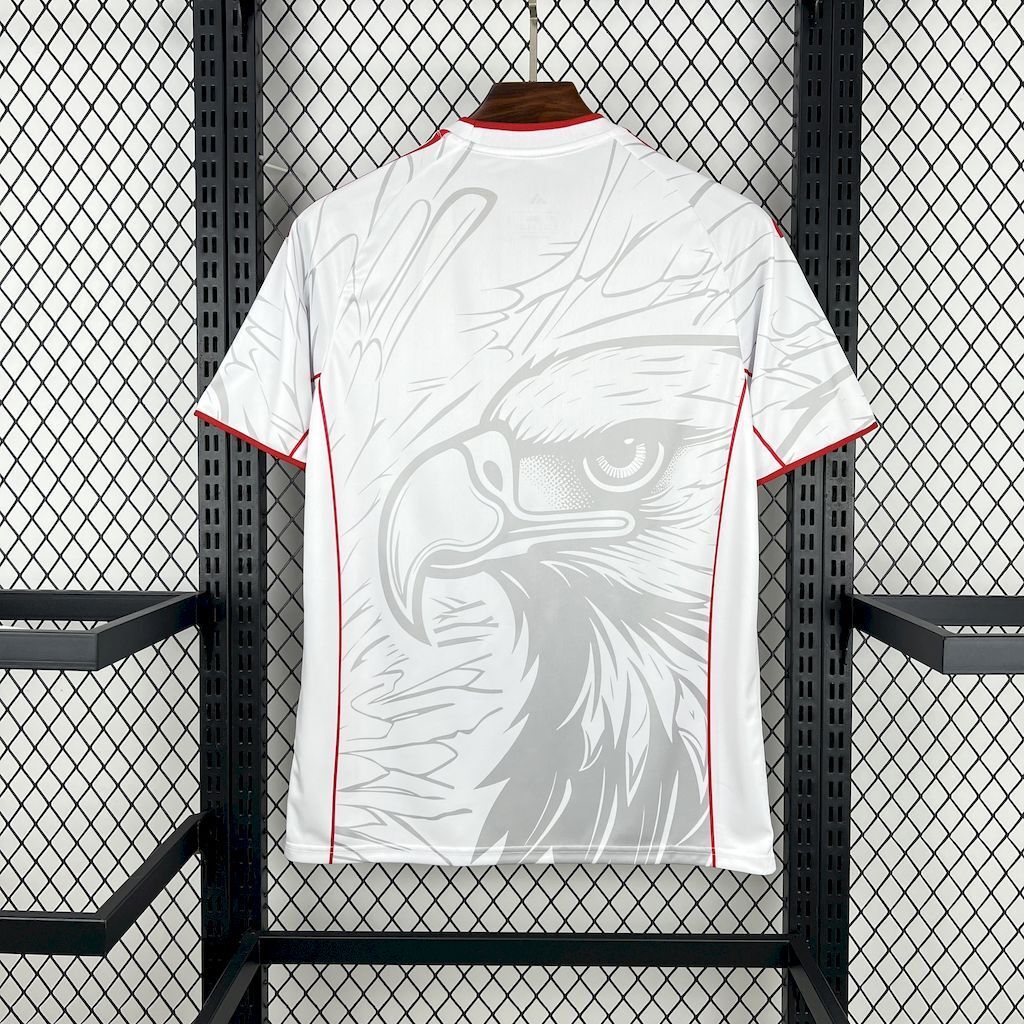 MAILLOT BENFICA ÉDITION SPÉCIALE FAN 2025/2026