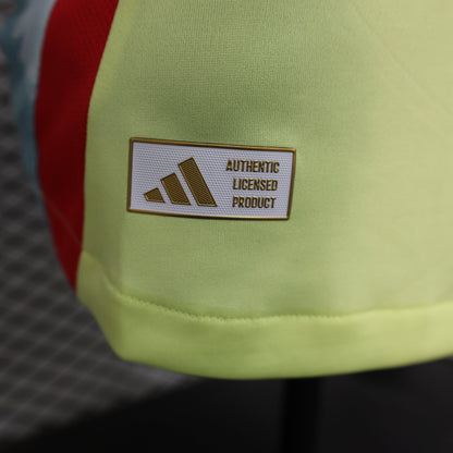 MAILLOT ESPAGNE EXTERIEUR PLAYER 2024/2025