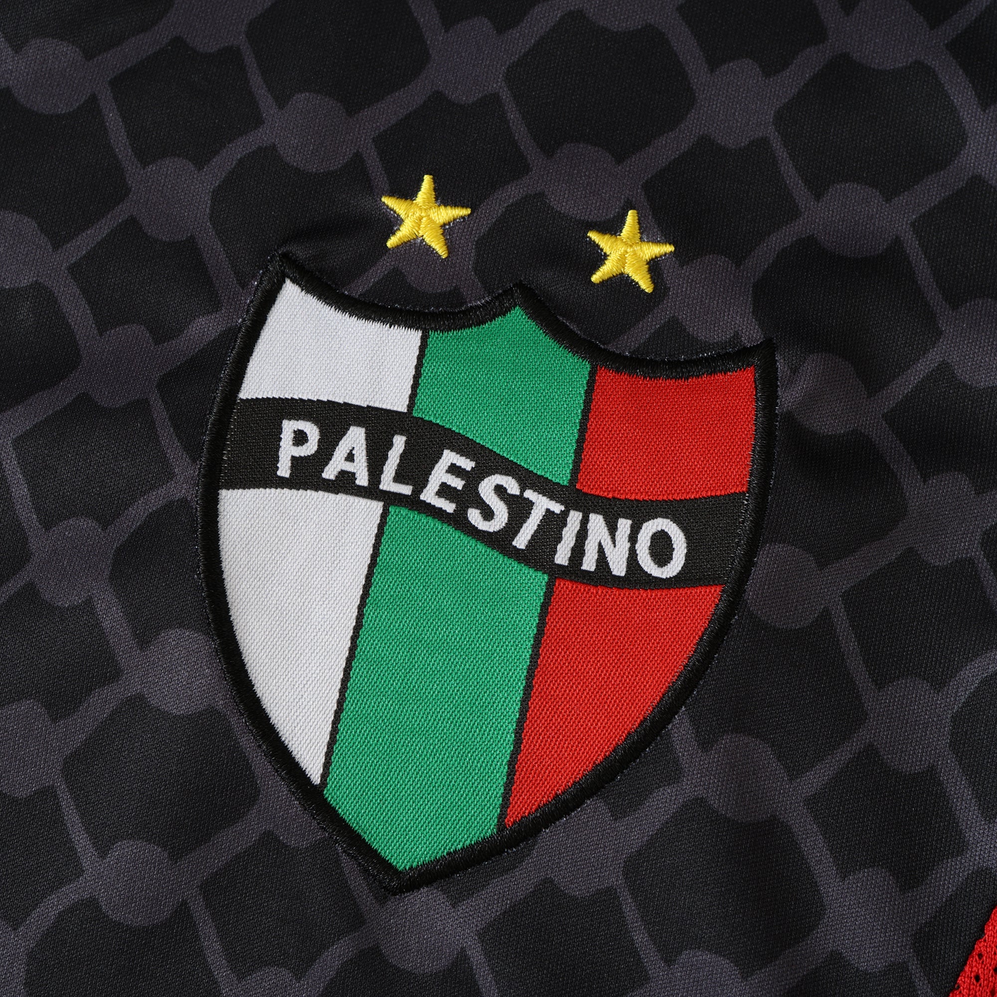 MAILLOT PALESTINE EXTERIEUR VERSION FAN 2024/2025