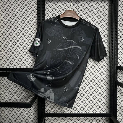 MAILLOT PALESTINE NOIR ÉDITION SPÉCIALE FAN 2024/2025