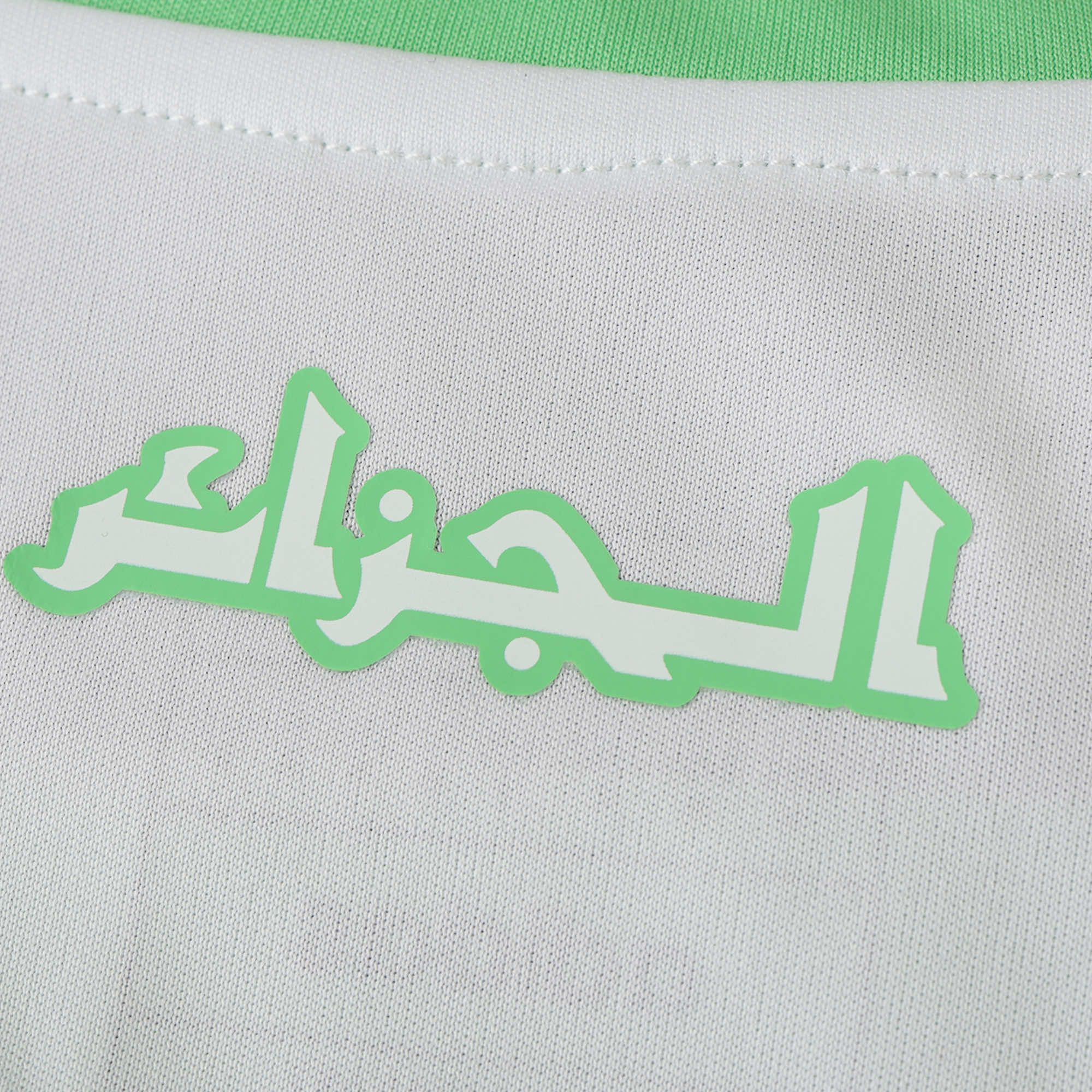 MAILLOT ALGÉRIE DOMICILE FAN 2024/2025
