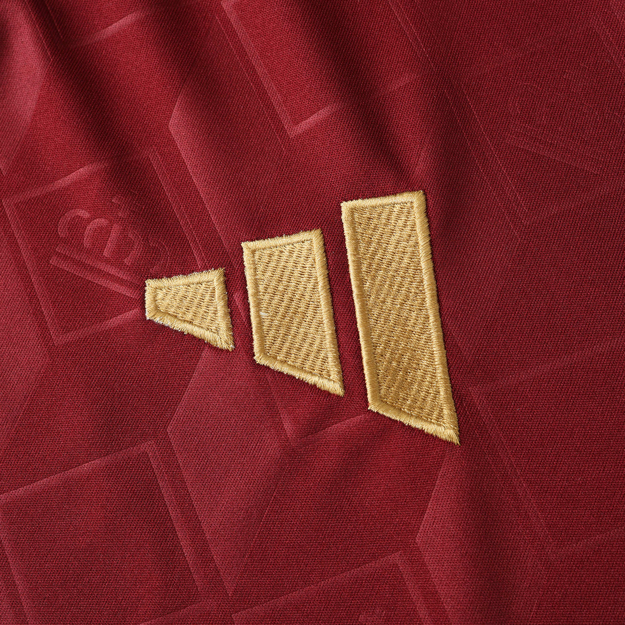 MAILLOT BELGIQUE DOMICILE FAN 2024/2025