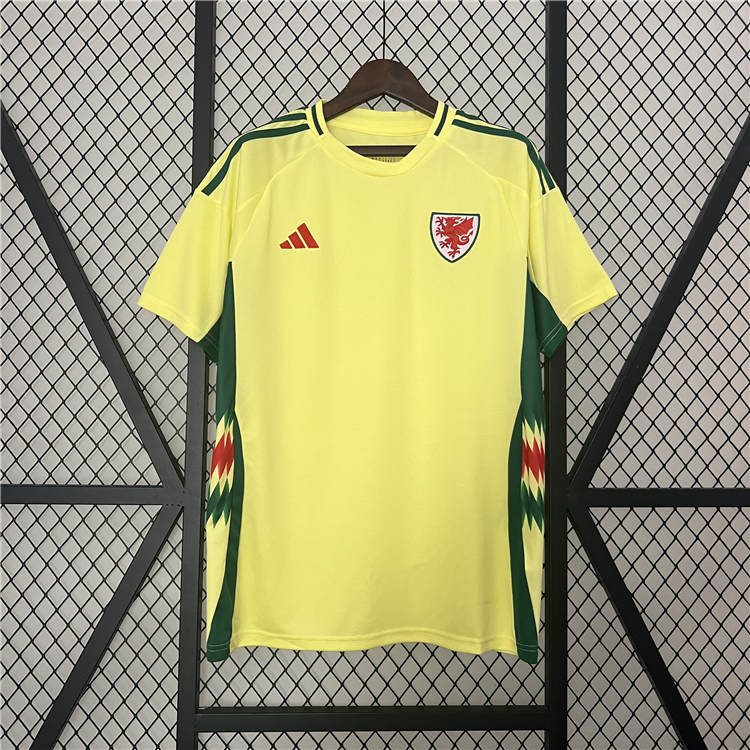 MAILLOT PAYS DE GALLES EXTERIEUR FAN 2024/2025